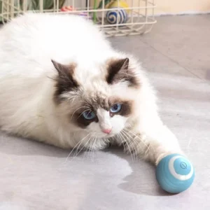 Electric Smart Ball Cat Toys Automatic Rolling Interactive Ball Usb Charge Pet Toy Cat Teasing Training Balls Chewable Cat Toys