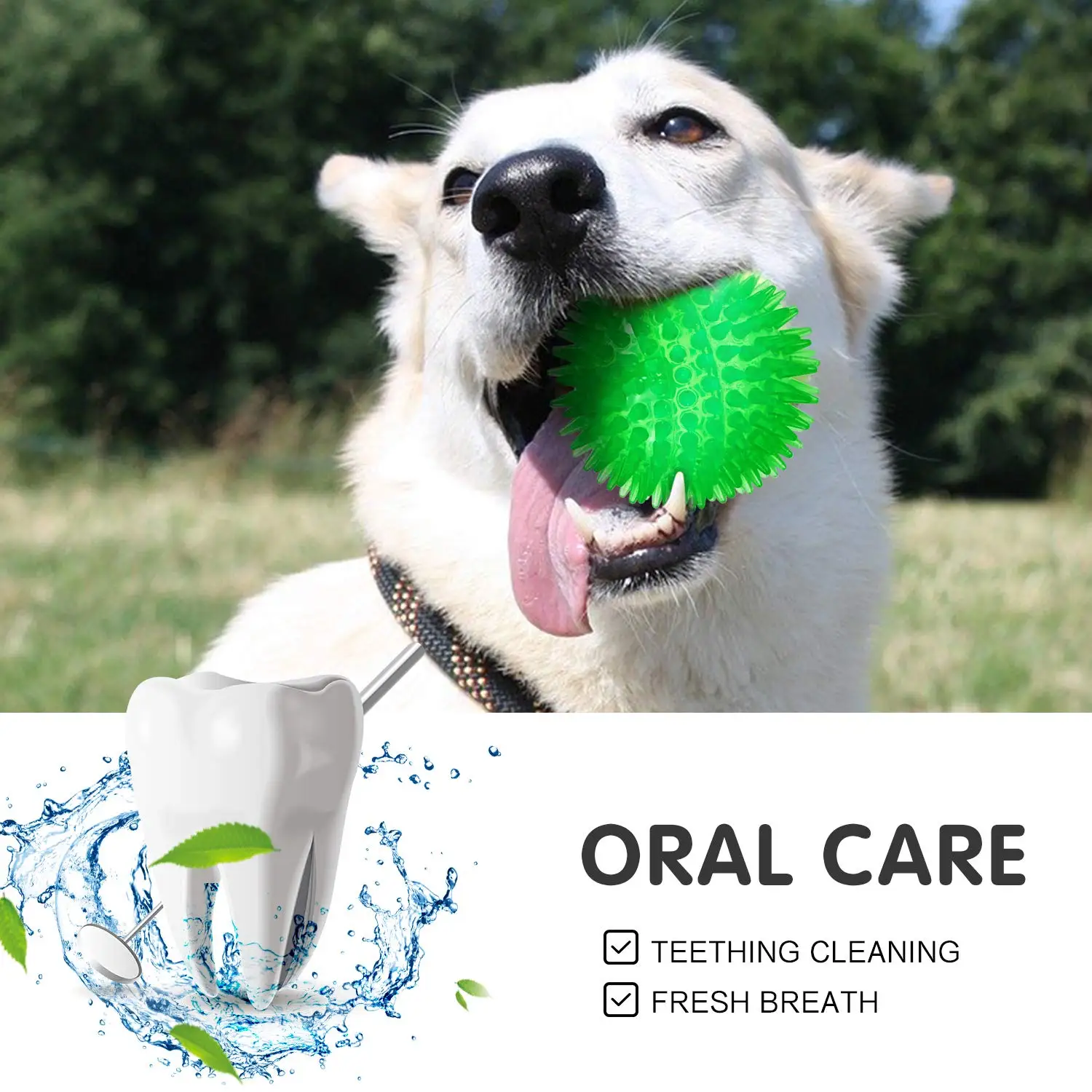 kf-S2ed95176146c45c2992a4dcd9b84bc5ay