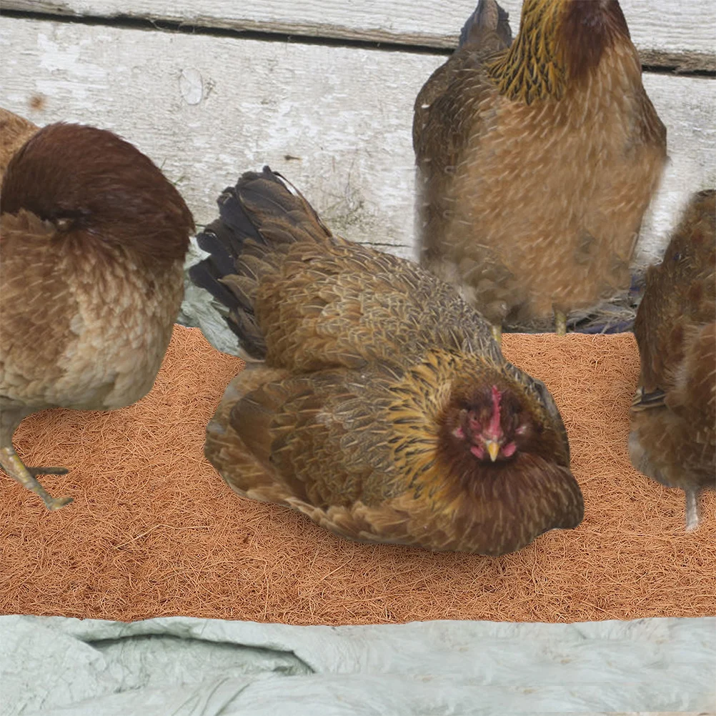 kf-S4163b574c7844e0c8e7fc78f698237fbJ