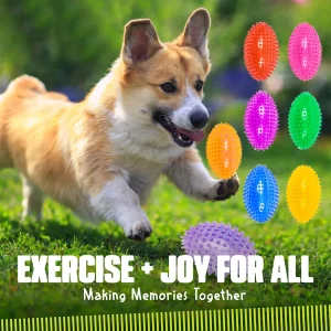 TPR Dog Chew Ball Toy - Squeaky Spikey Soft Rugby Shape for Teeth Cleaning, Bite Resistant & Interactive Training