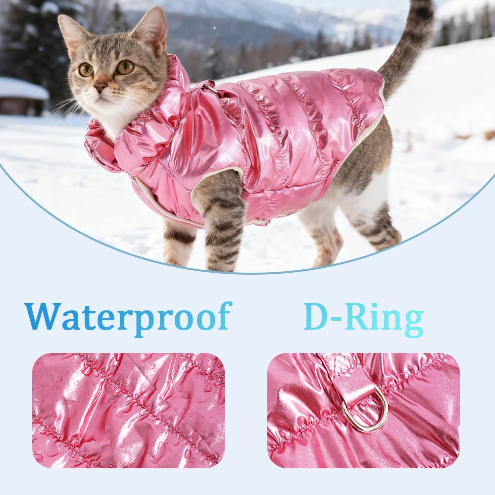 kf-Sa711fa853c714b2c802adbf98d63e2f6E