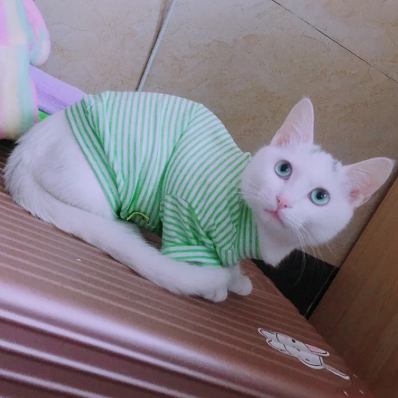 kf-Sa94b69a3a5d6424495724d748e9dd6ea2