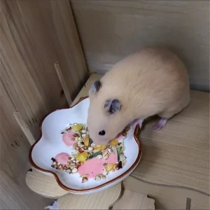 1PC ceramic cat claw shaped hamster rice bowl, 9.2cm/3.6inch mini pet bowl, suitable for feeding and drinking small pets such as
