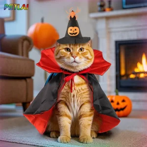 Halloween sorceress pet spider hat funny costume cape witch hat suit Halloween cat dog two-piece cape set transformation outfit